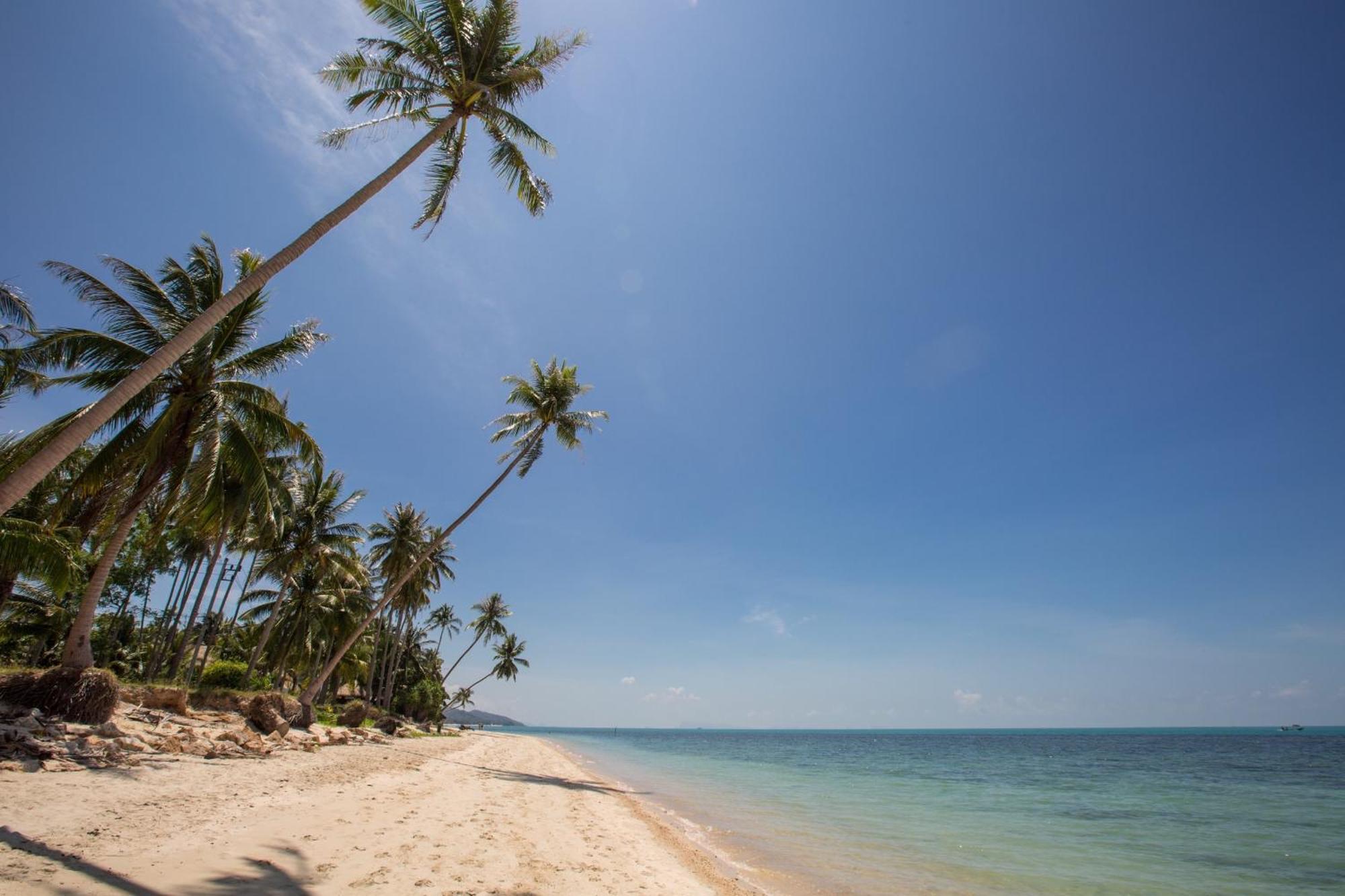 Sea&Sky Beach Resort Mae Nam Dış mekan fotoğraf